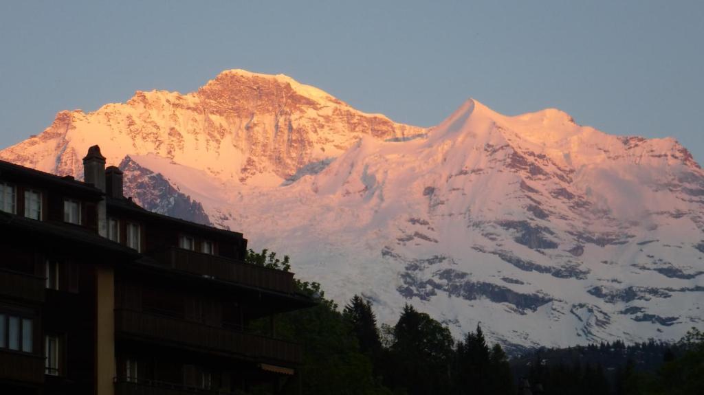 Alpenkraeuter Hotel Baeren Wengen Exterior photo
