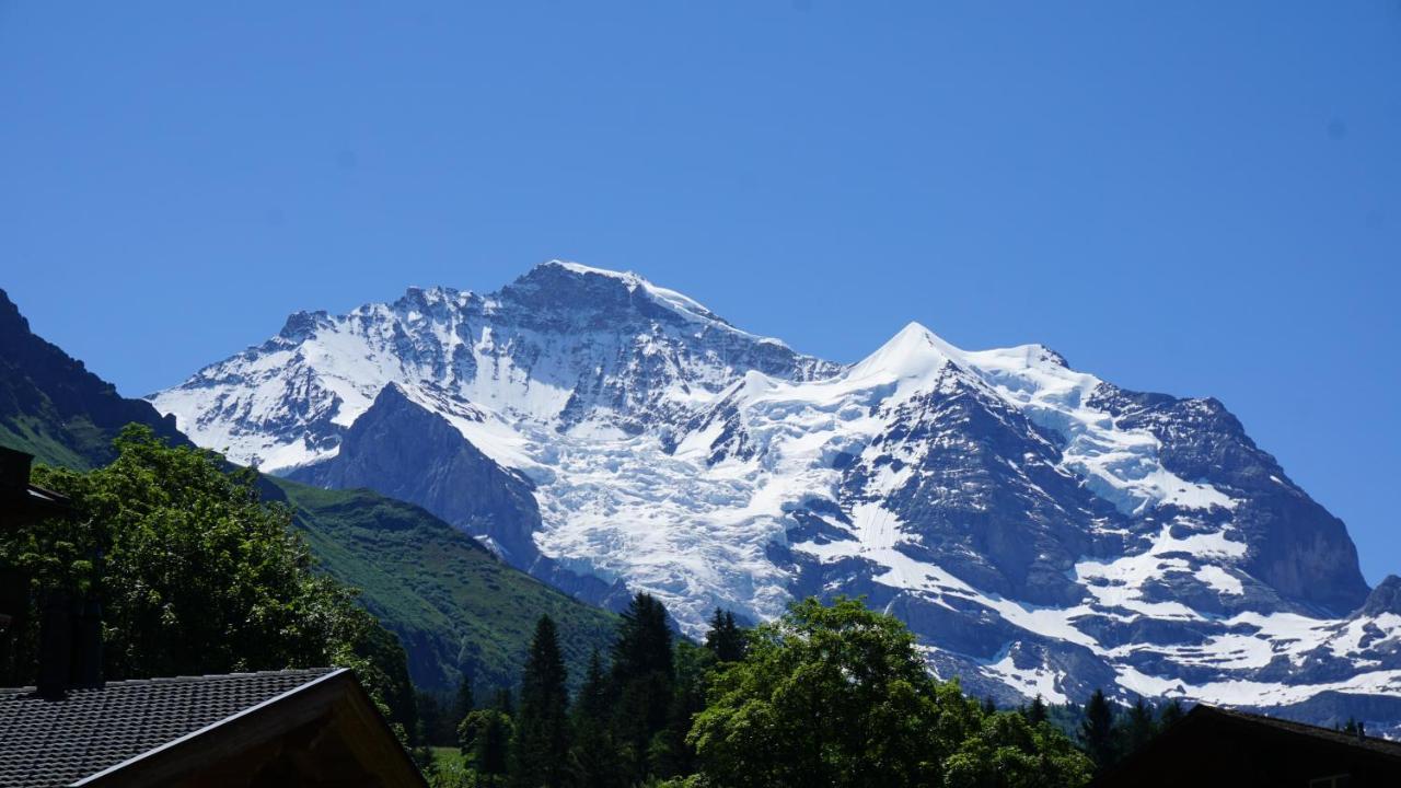 Alpenkraeuter Hotel Baeren Wengen Exterior photo